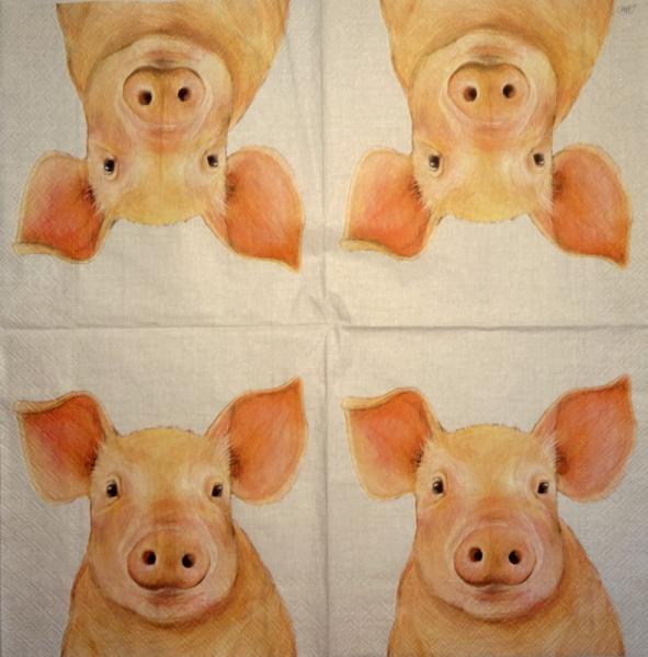 080 Pigs - 3-ply - Nouveau